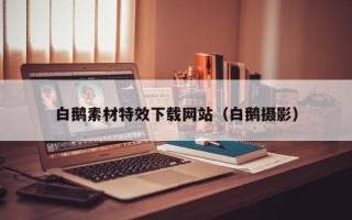 贵港白鹅素材特效下载网站（白鹅摄影）